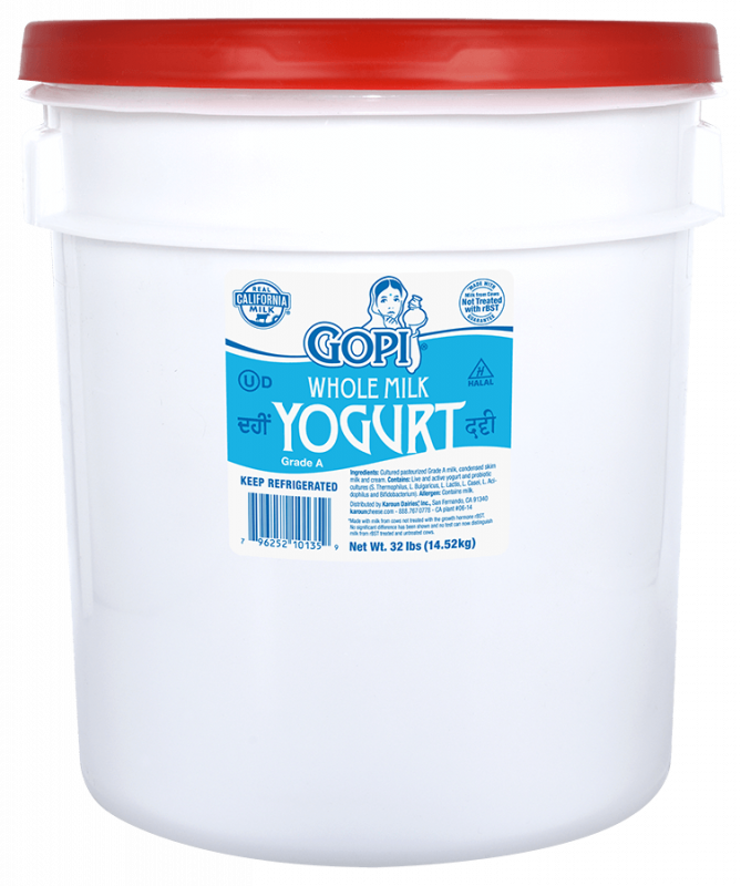 Plain Yogurt Whole Milk Pail 32 lb