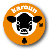 Karoun Cheese- Karoun Dairies